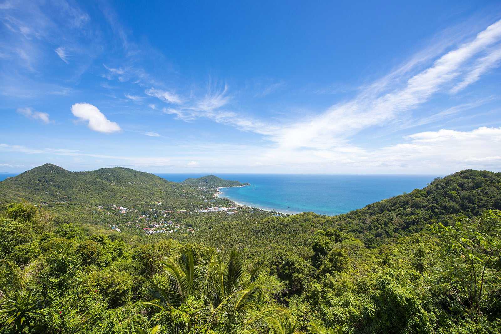 Mango Viewpoint