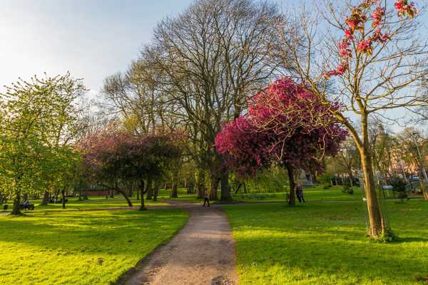 Whitworth Park in Manchester