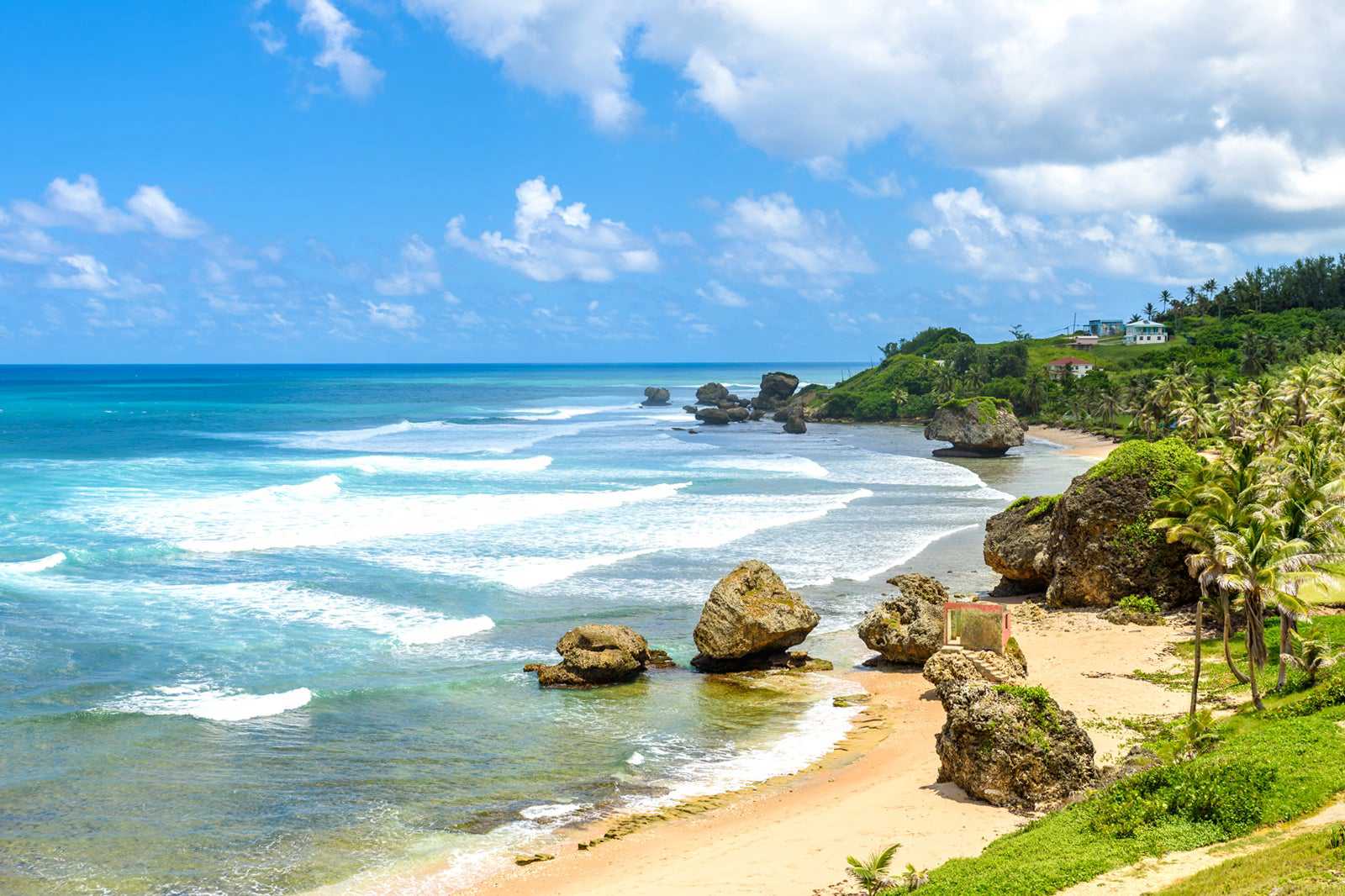 Bathsheba Beach