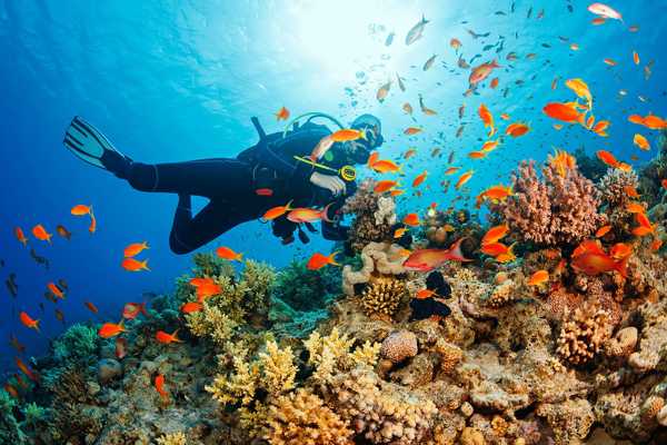 10 Best Places to Learn to Dive in Thailand