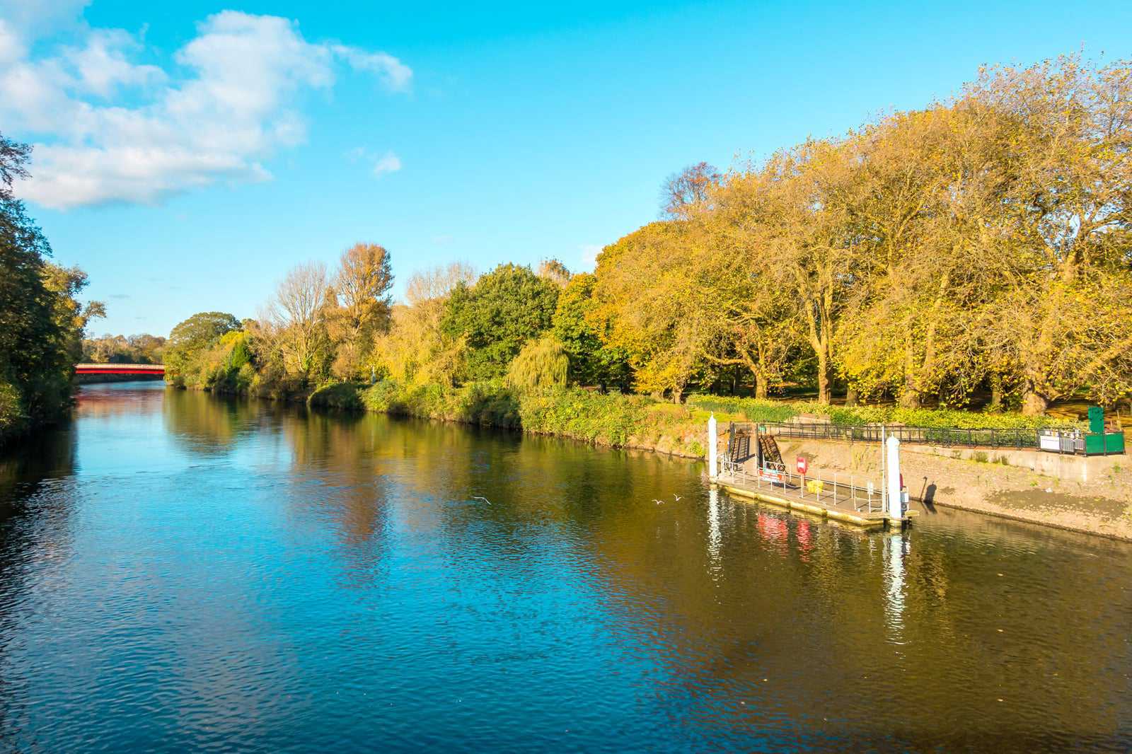 Bute Park