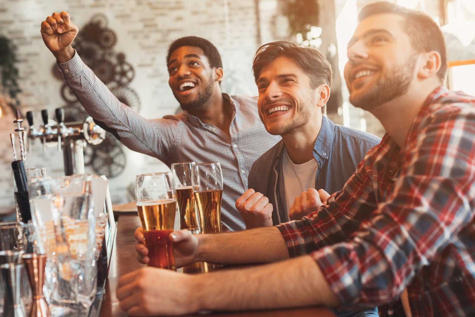 10 Best Pubs in Vienna