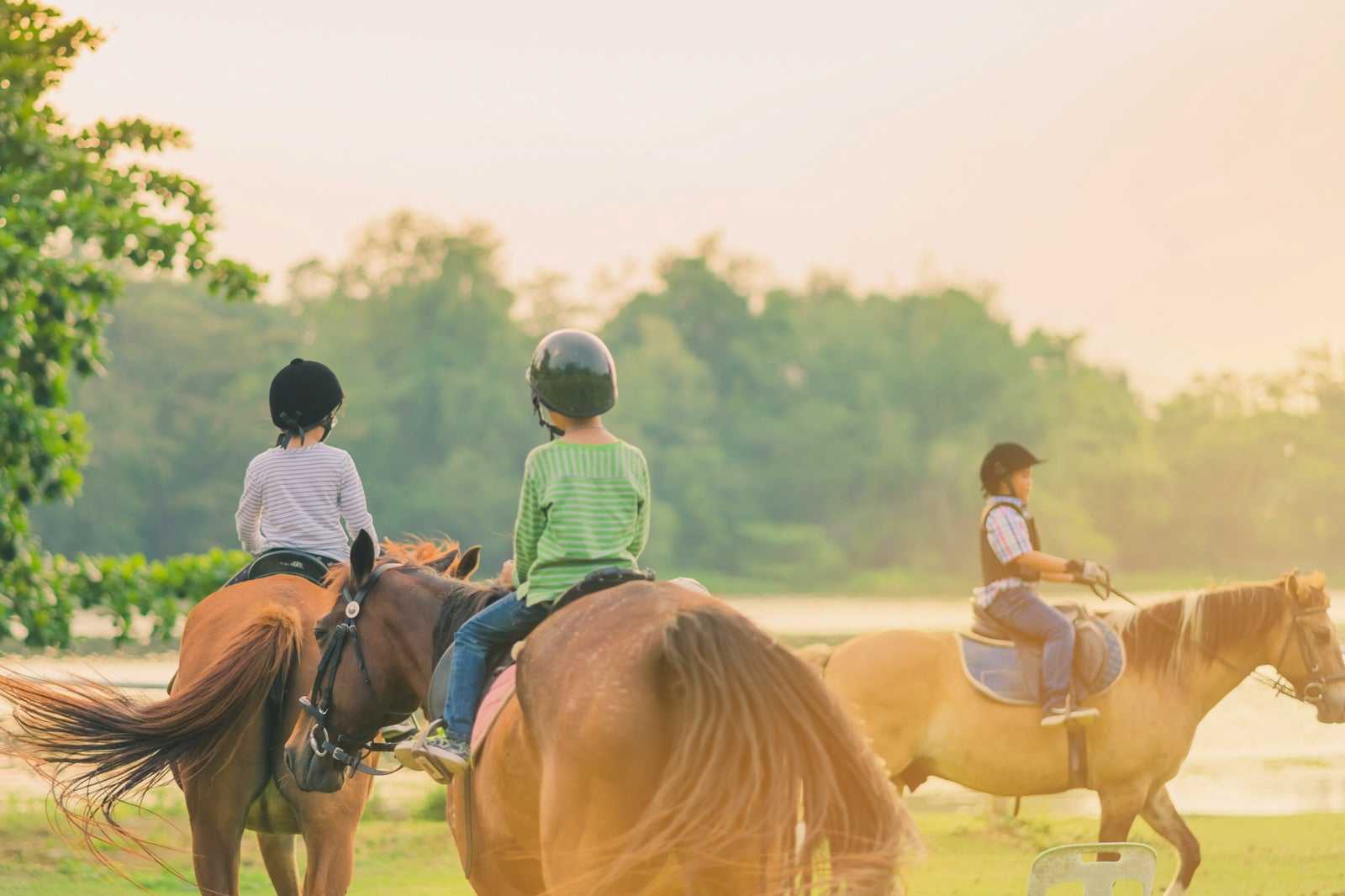 Albufeira Riding Center