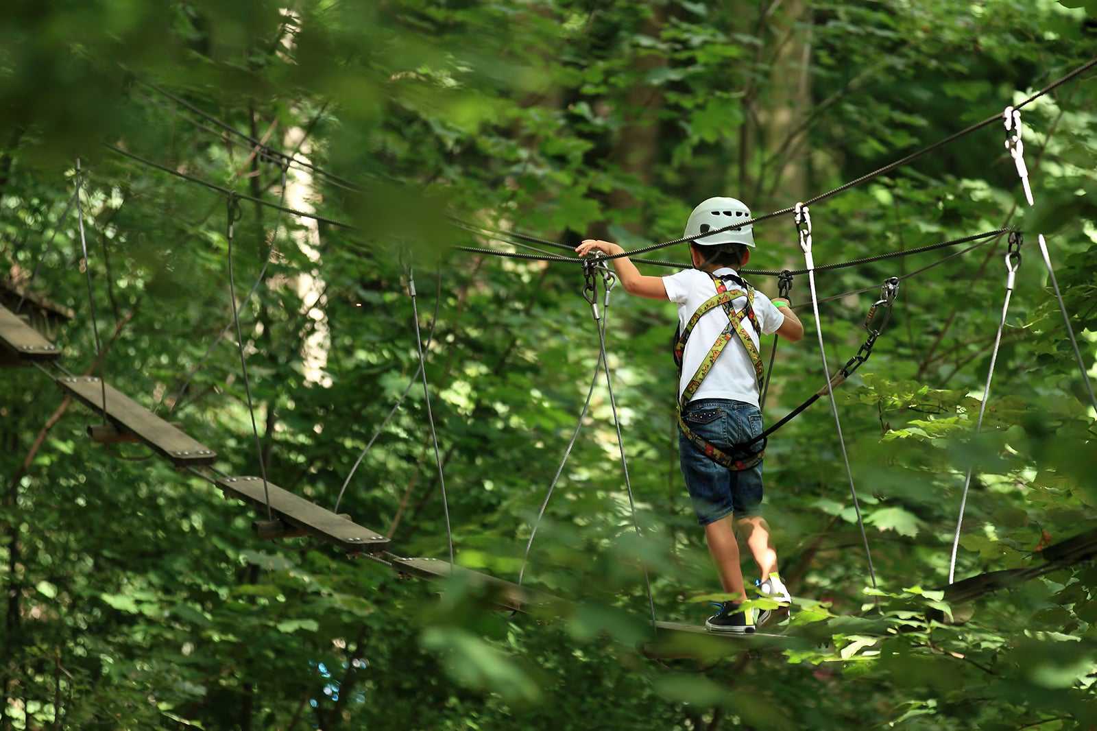 Gaillands Adventure Park
