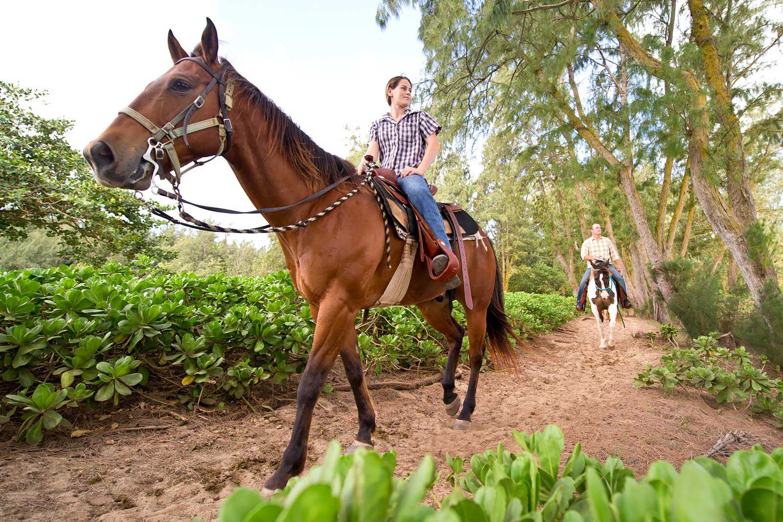 Ride horseback