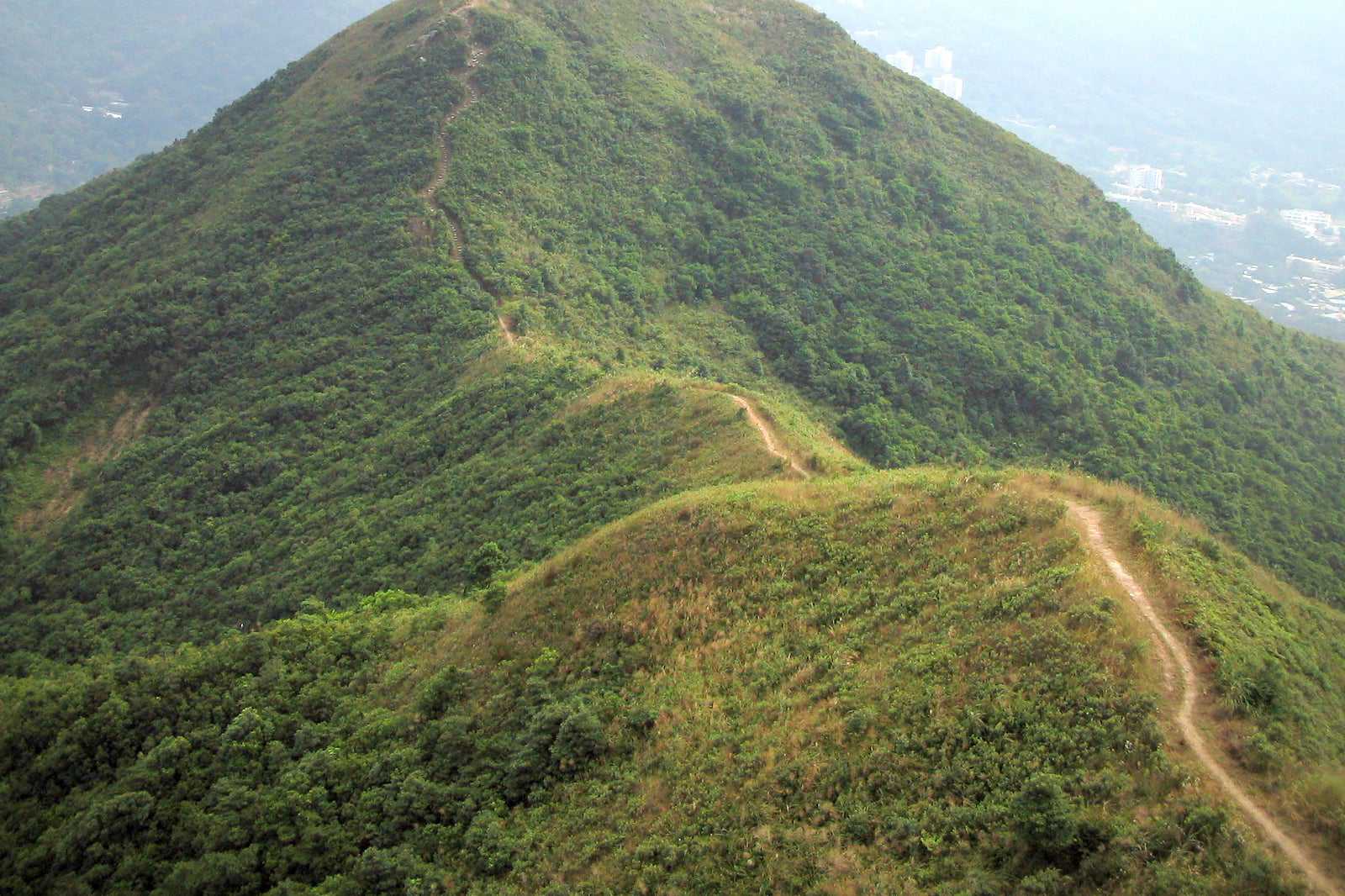 Lam Tsuen Country Park