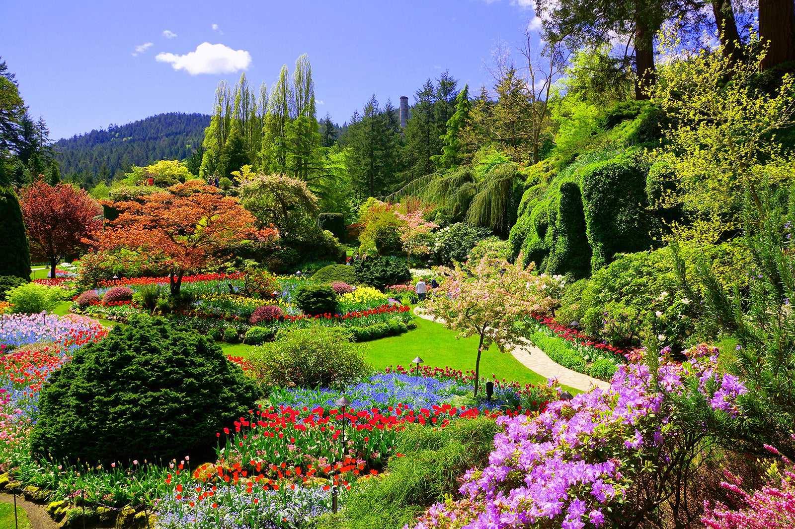 Discover beautiful flower gardens