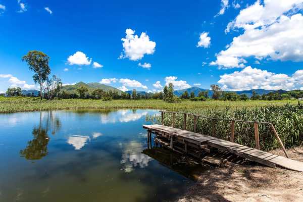 Hong Kong Wetland Park