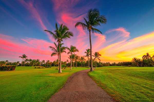 10 Best Golf Courses in Punta Cana