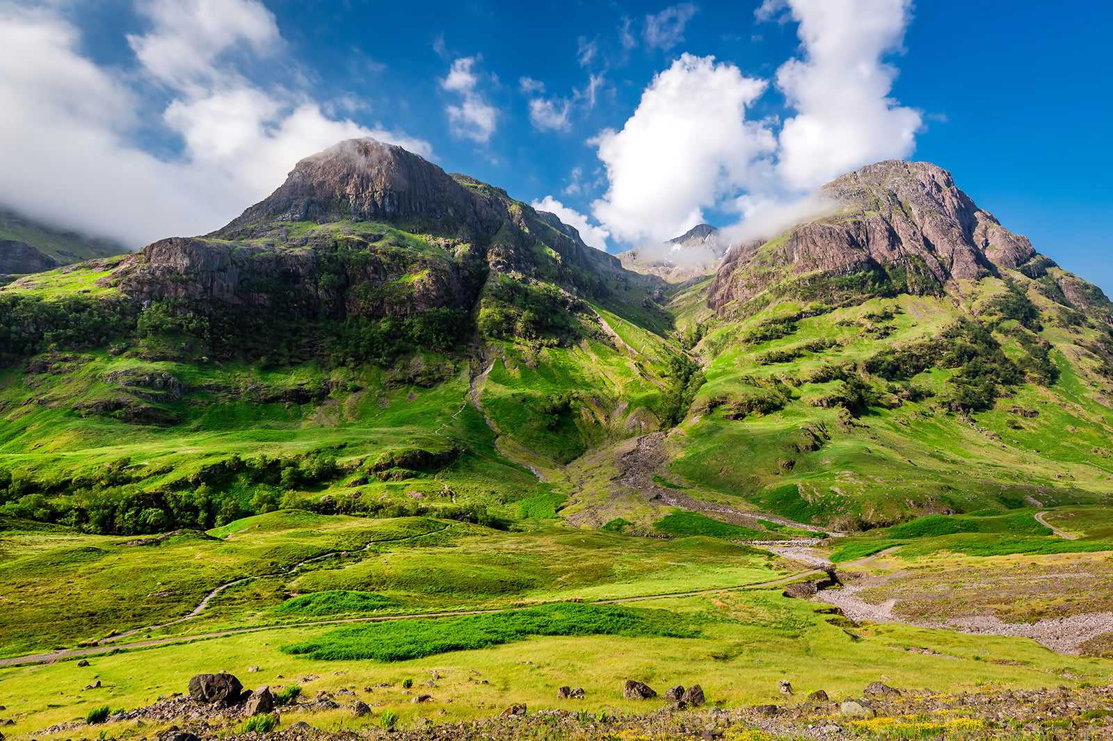 Glencoe