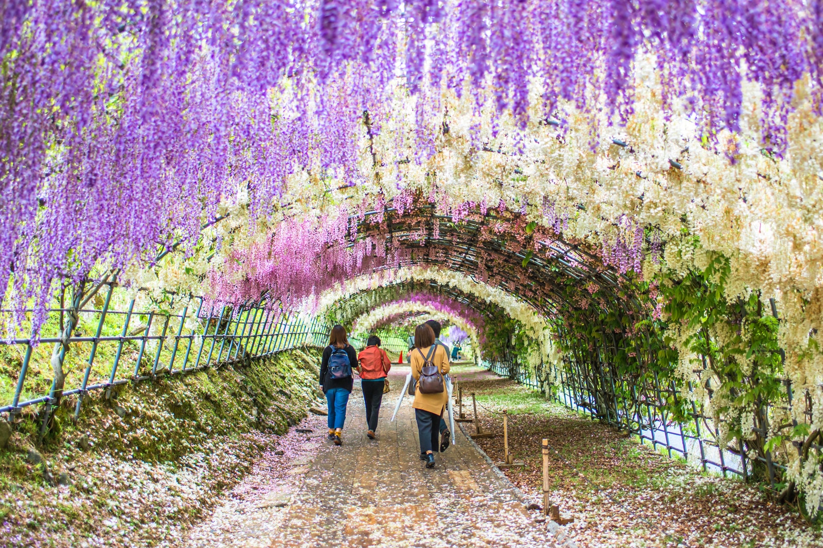 Things To Do In Fukuoka In Winter