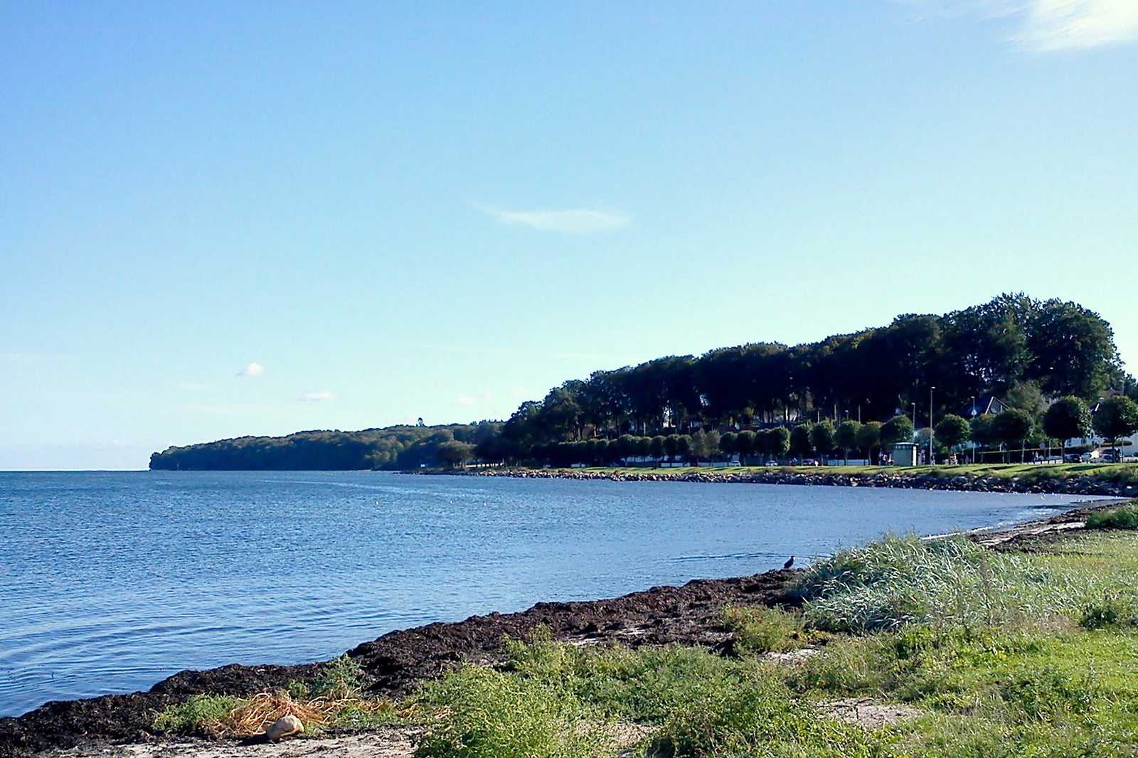 Tangkrogen