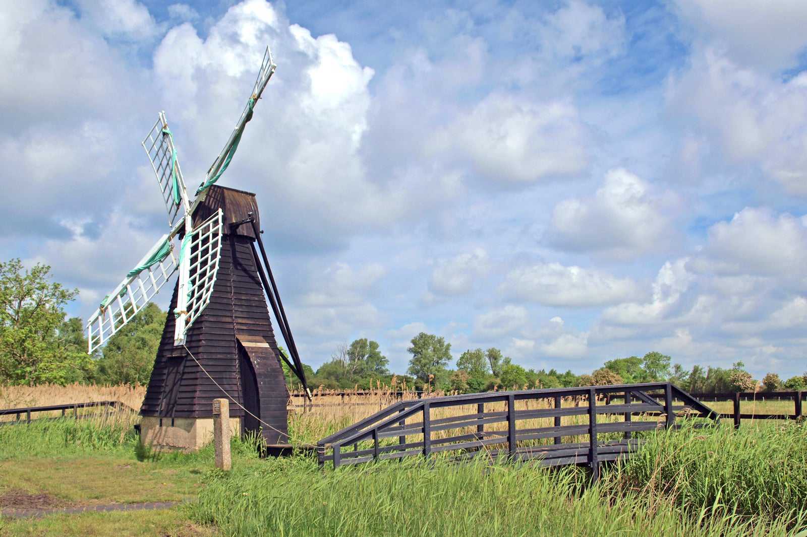 Wicken Fen Nature Reserve