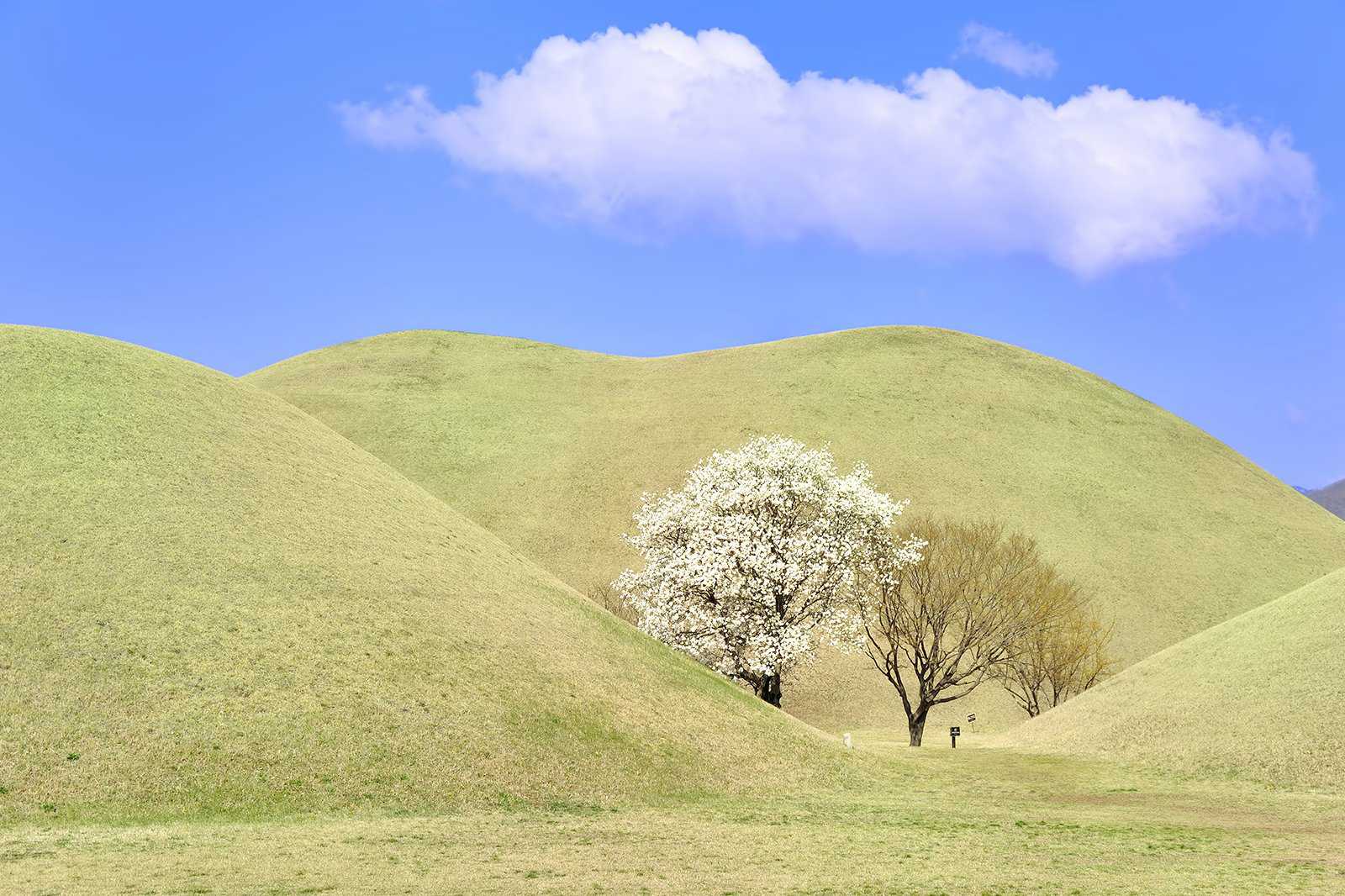 Best Time to Visit Gyeongju