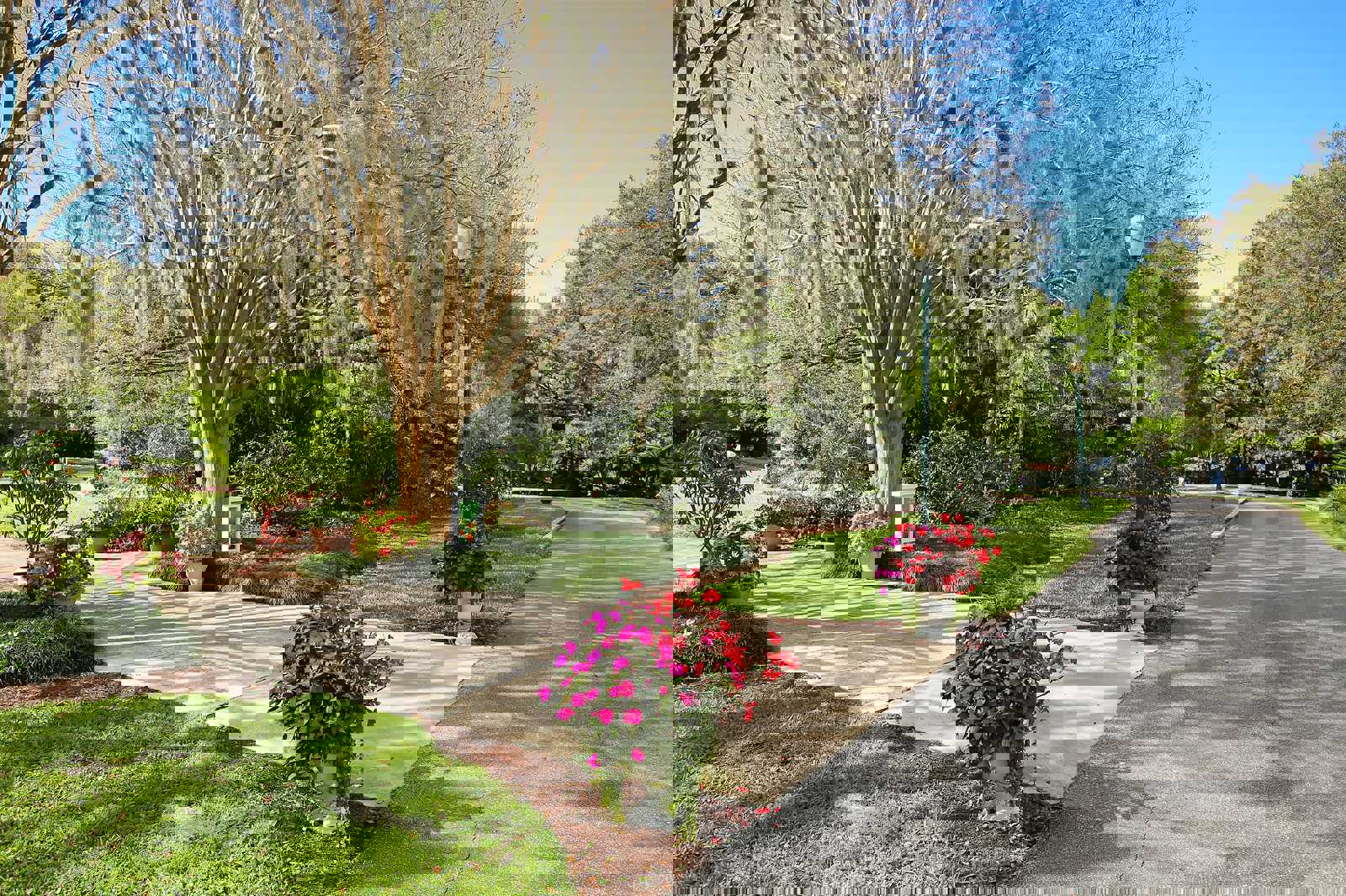 Visit the Harry P. Leu Gardens