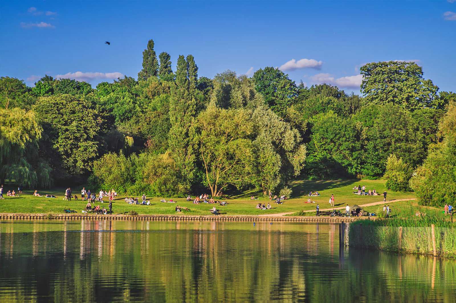 Hampstead Heath