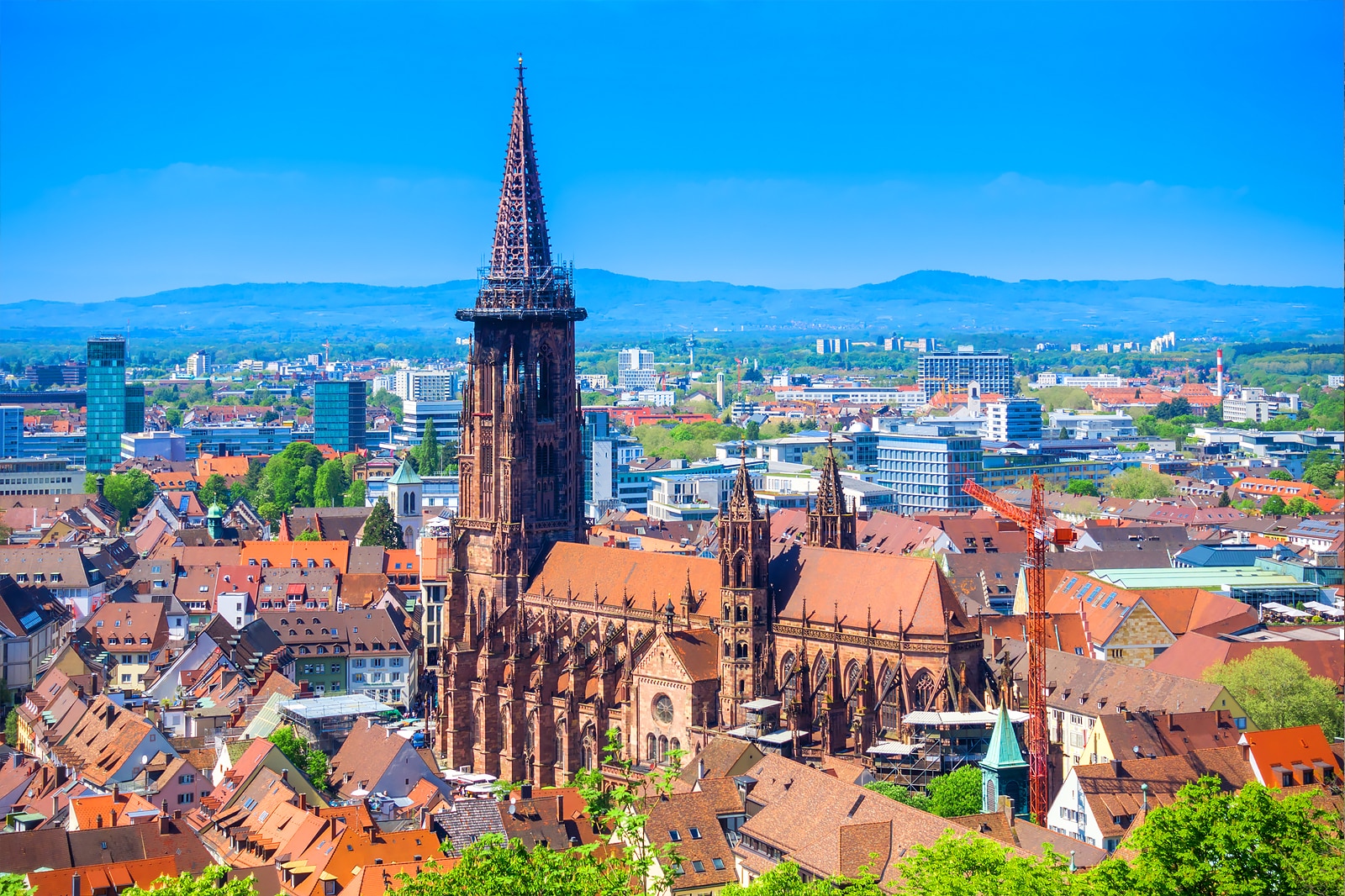 action in freiburg