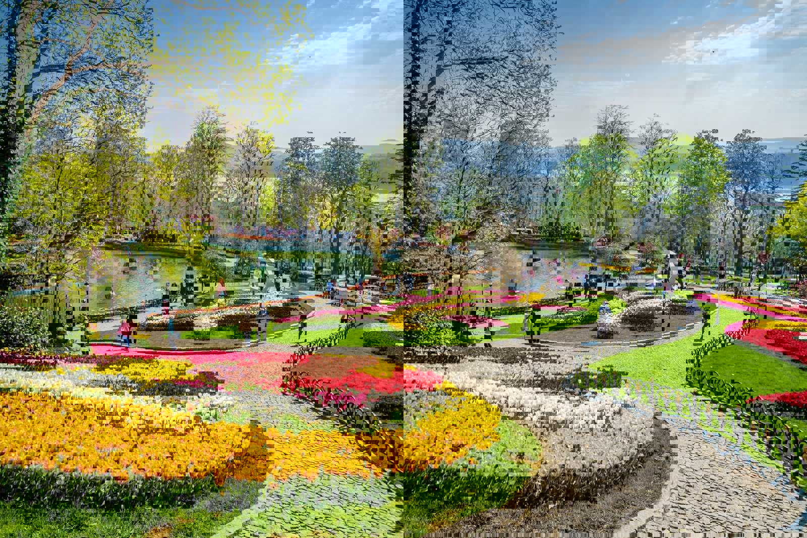 See tulips in bloom at Emirgân Park