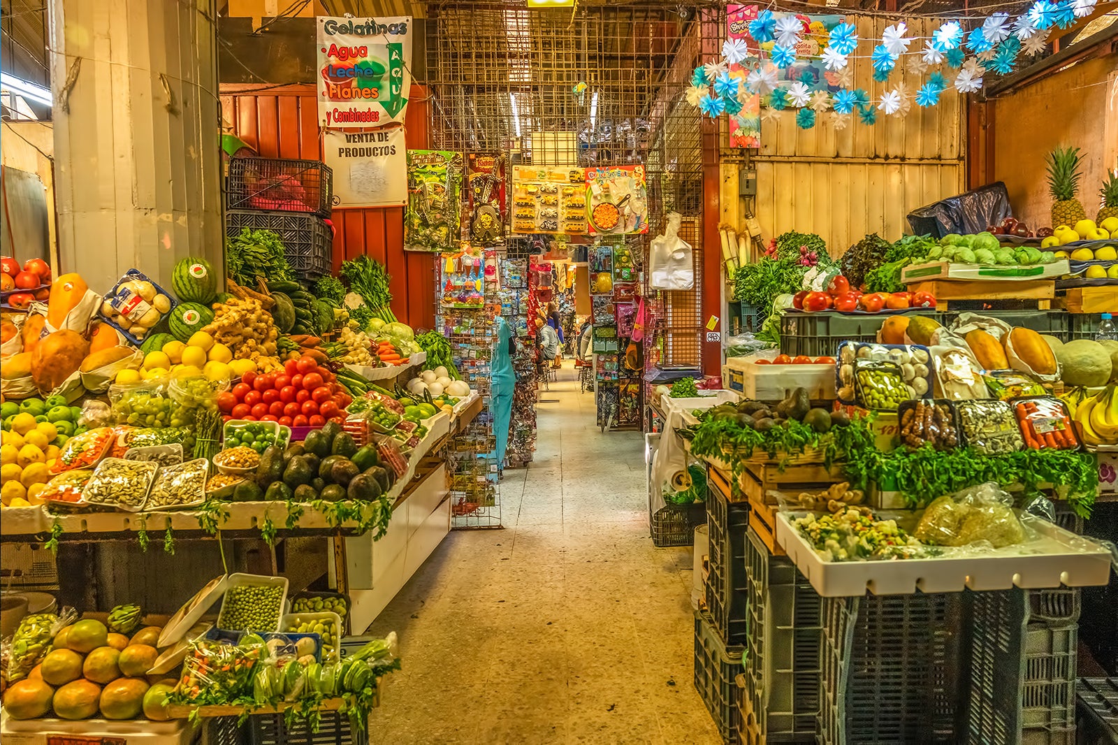 10-best-places-to-go-shopping-in-mexico-city-go-guides