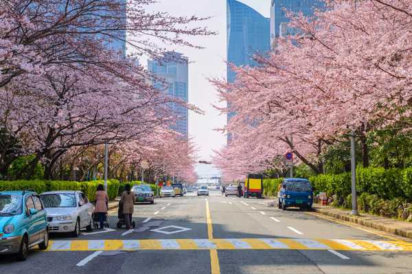 10 Most Popular Streets in Busan