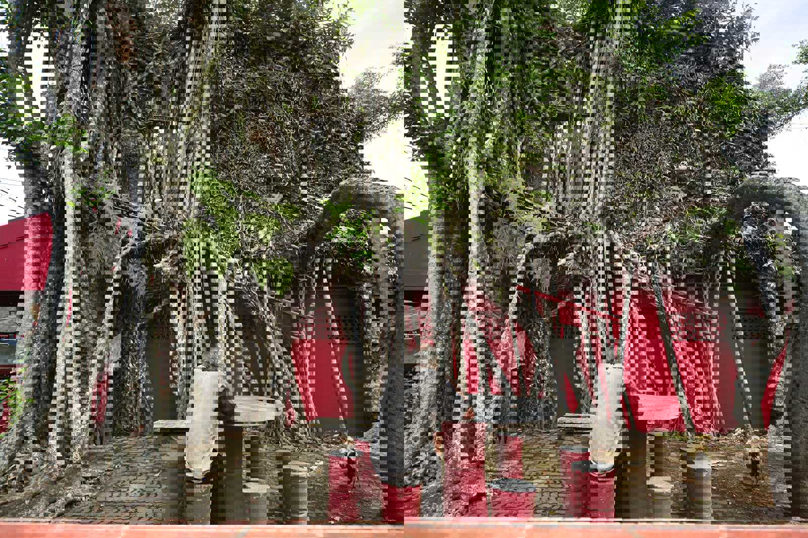 Banyan Tree Temple