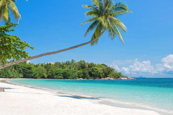 What to Do on a Short Trip to Bintan Island