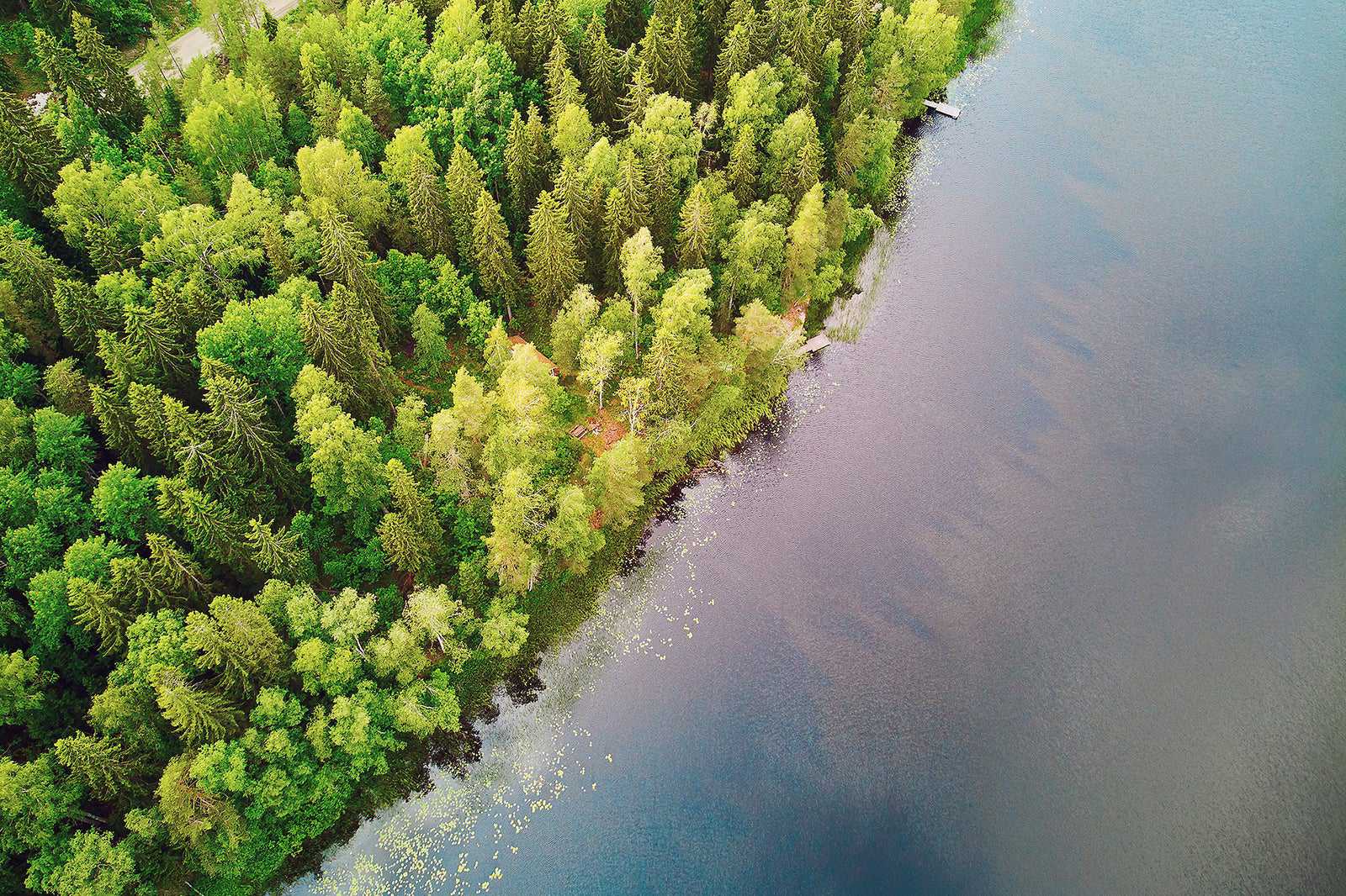 Sipoonkorpi National Park (Sipoonkorven kansallispuisto)