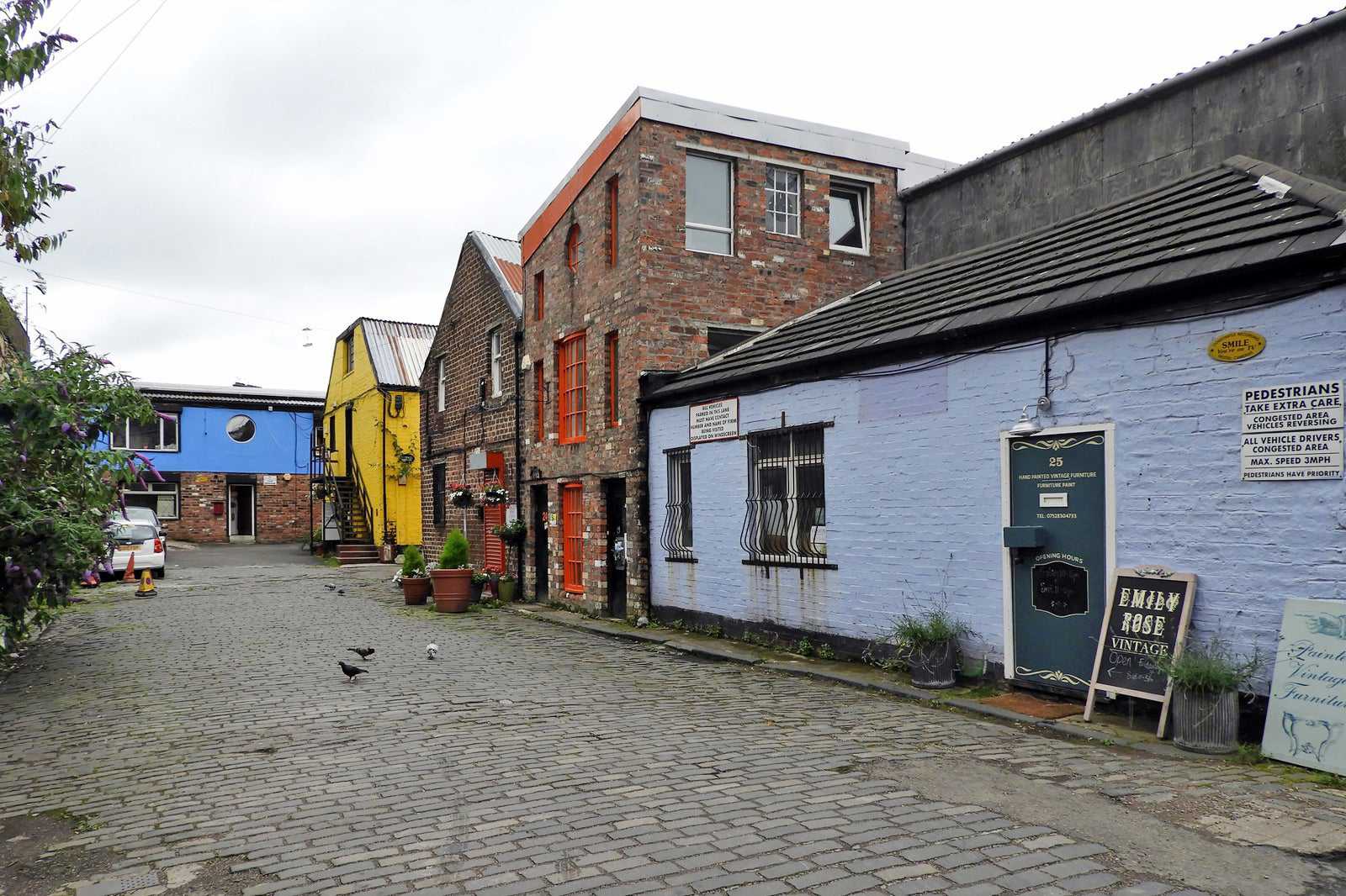 The Hidden Lane