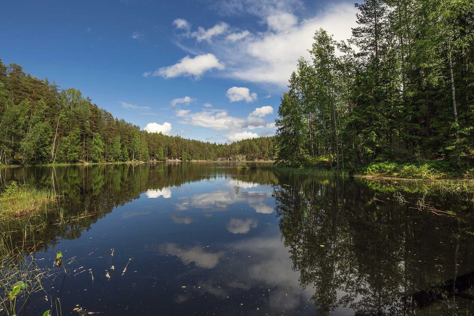 Nuuksio National Park (Nuuksion kansallispuisto)