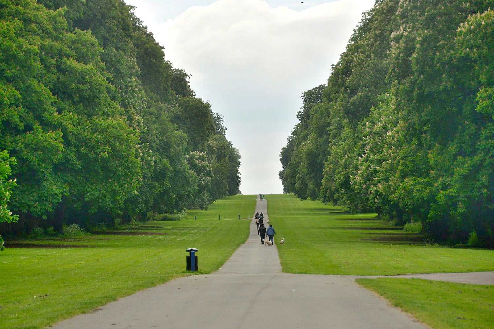 Cirencester Park