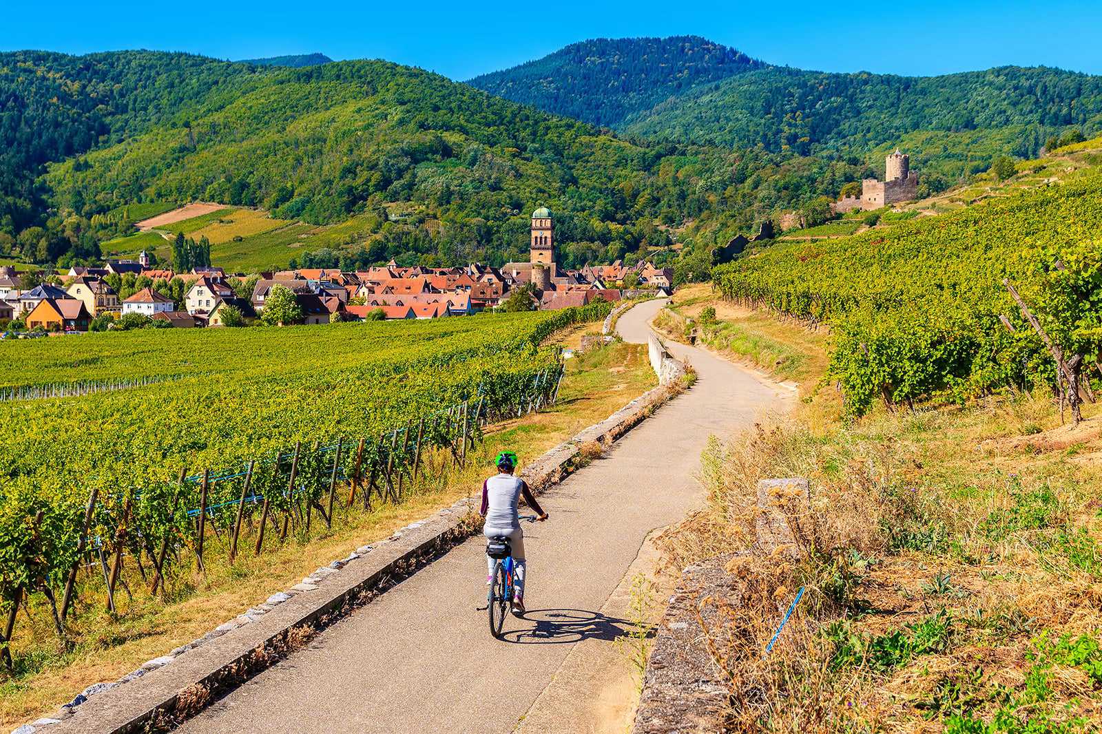 Alsace wine tour
