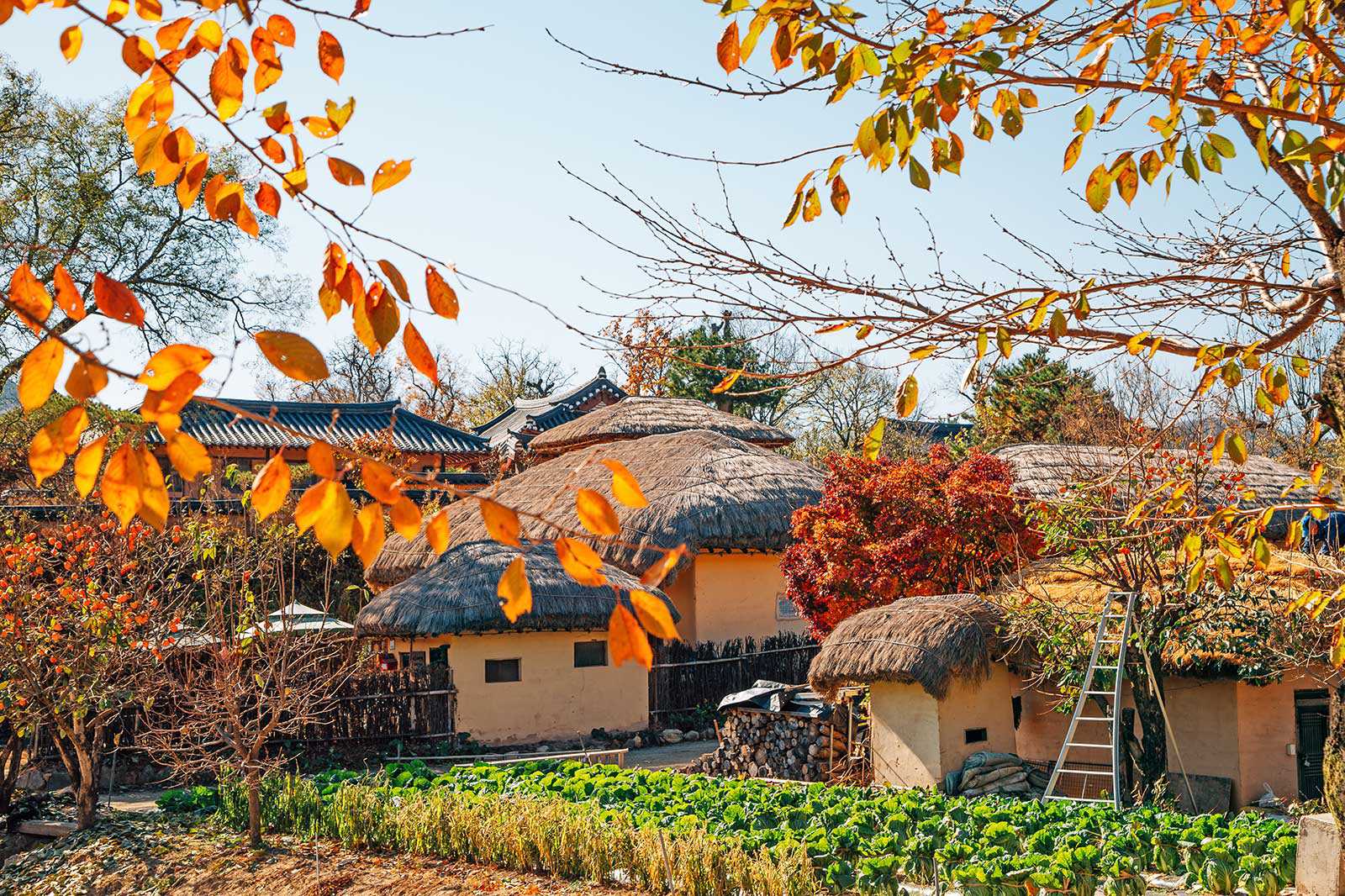 Andong Hahoe Folk Village