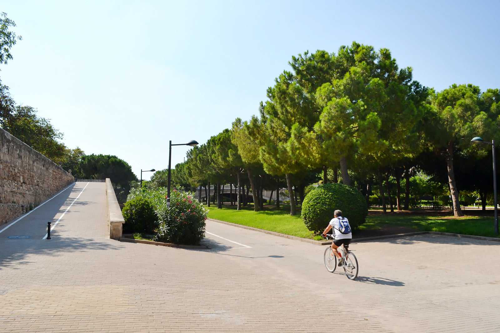 Ride a bicycle through the Jardín del Turia park