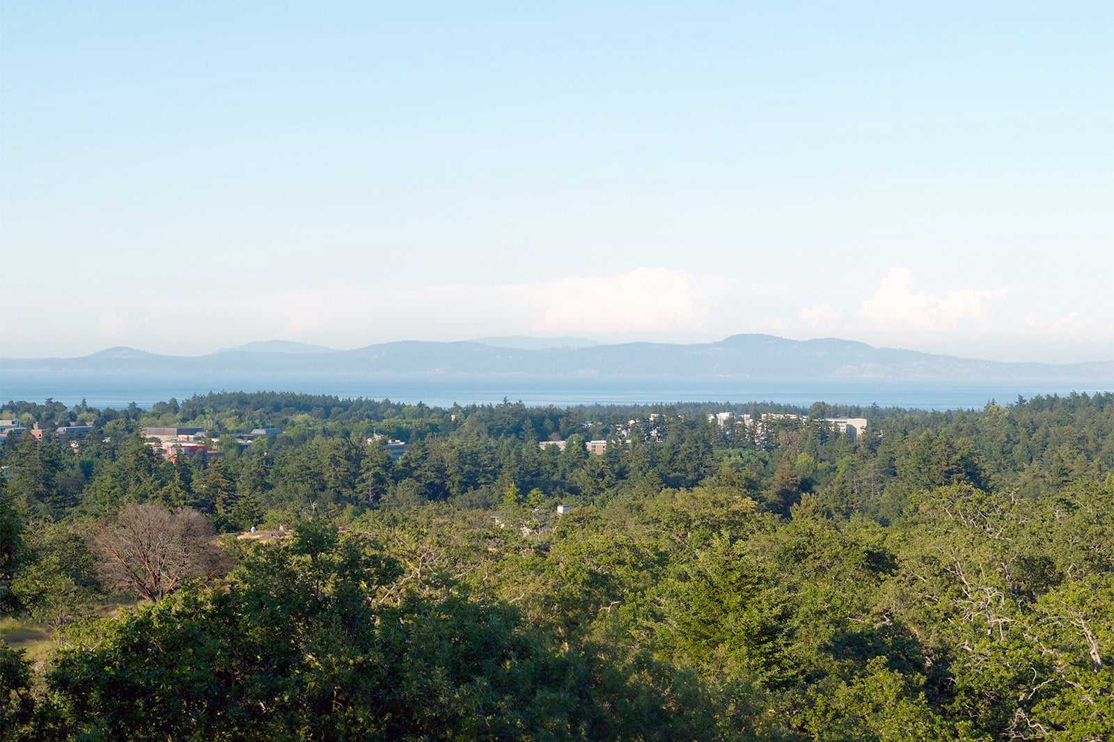 Enjoy a scenic hike up Mount Tolmie Park