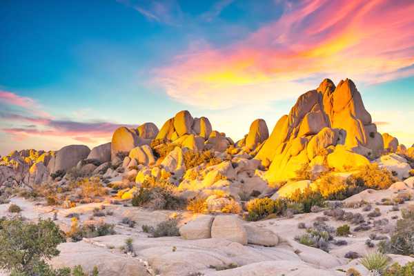 Joshua Tree National Park