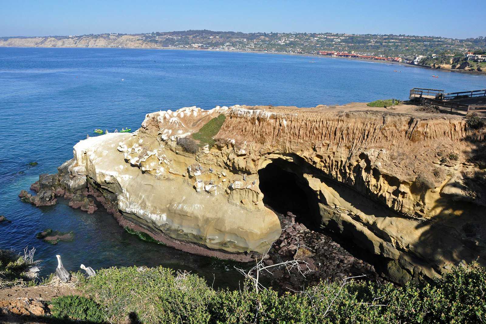 Explore La Jolla Cove