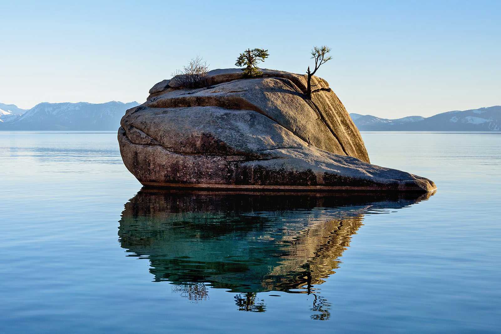 Bonsai Rock