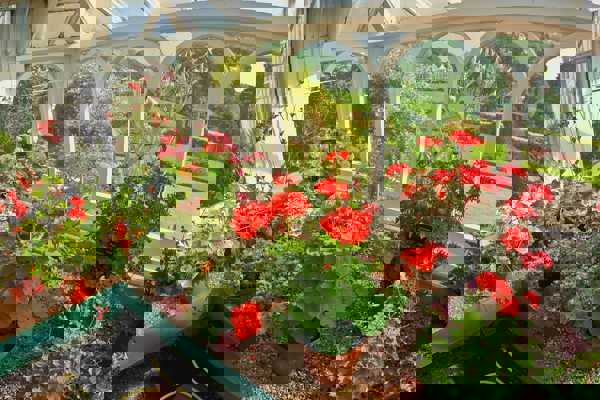 Birmingham Botanical Gardens