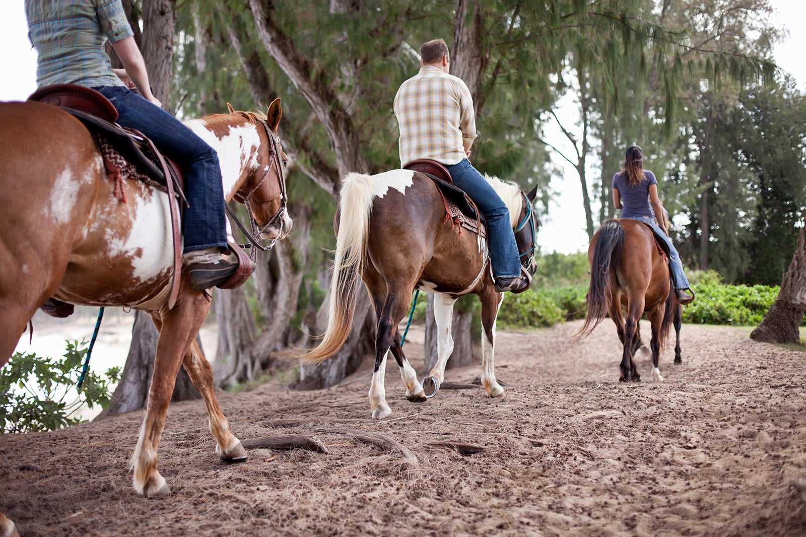Horseback riding in Bodrum