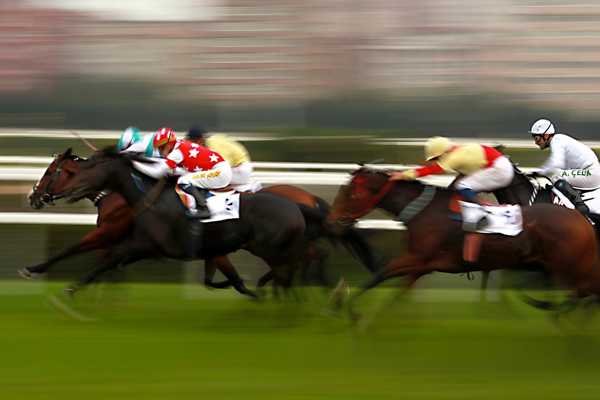 Bangkok Horse Racing