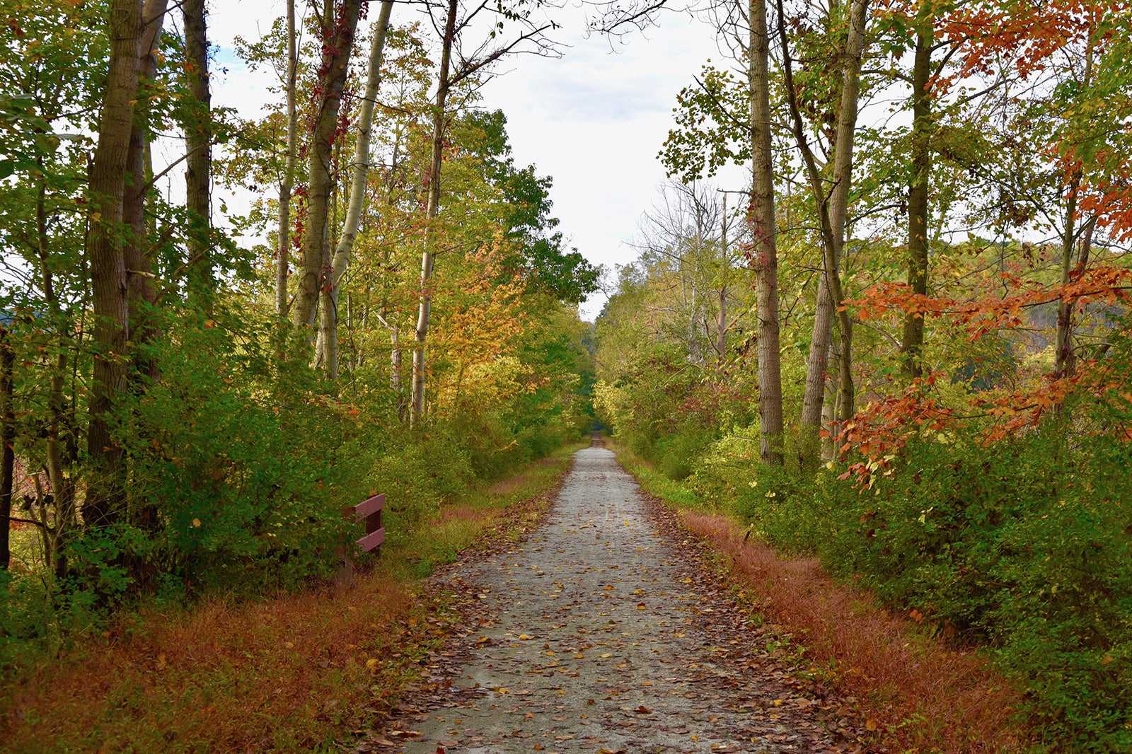 10 Best Walking Trails in Reading
