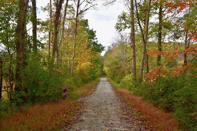 10 Best Walking Trails in Reading