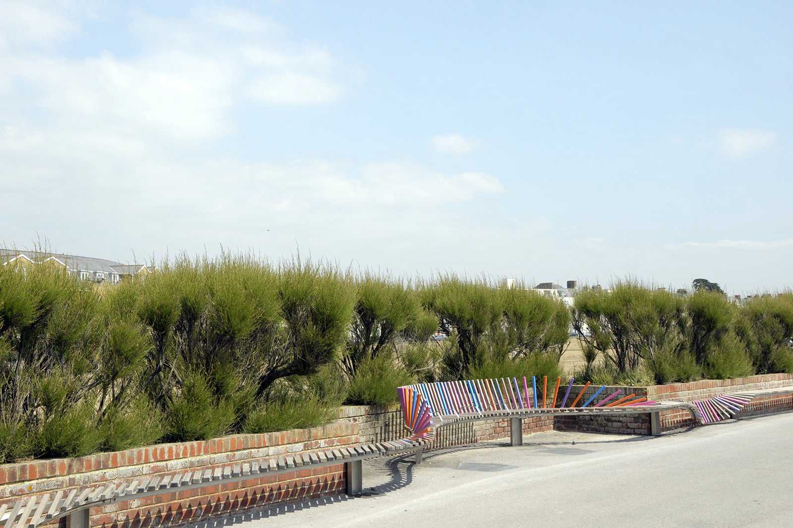 The Long Bench