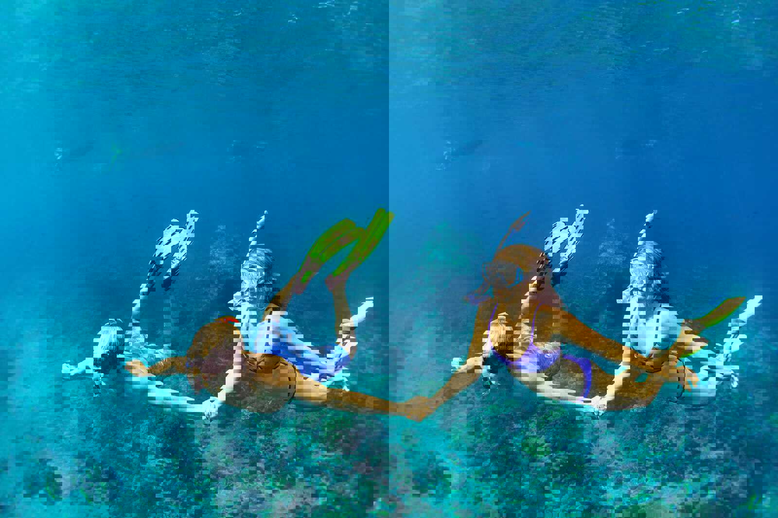 Bight Reef (Coral Gardens)