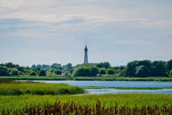 Marton Mere Local Nature Reserve