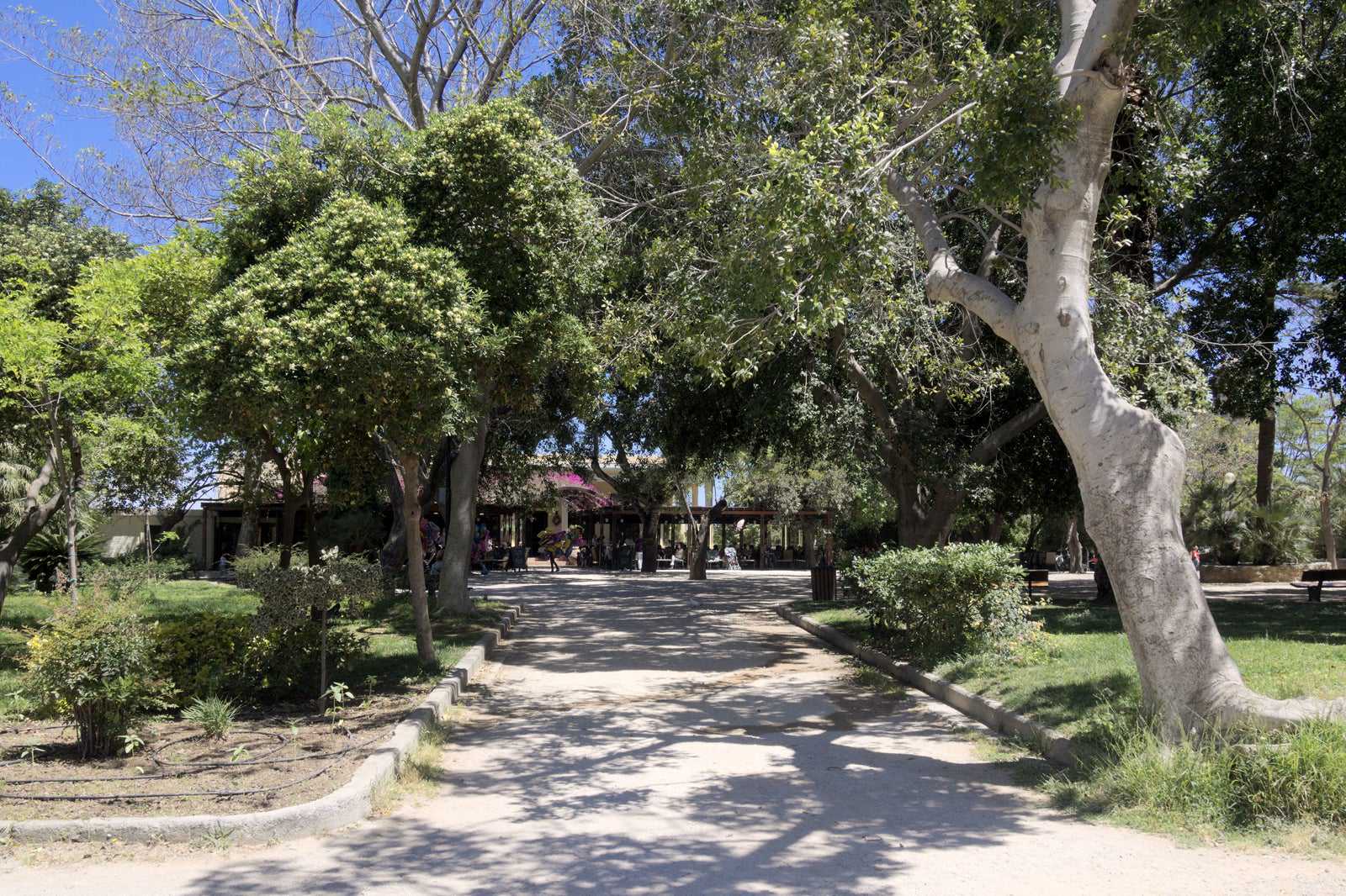 Municipal Garden of Chania