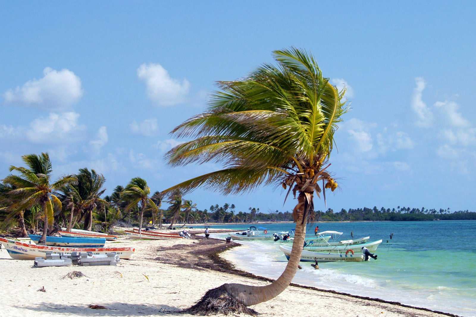 Punta Allen