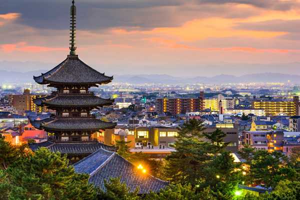 9 Best Things to Do After Dinner in Nara