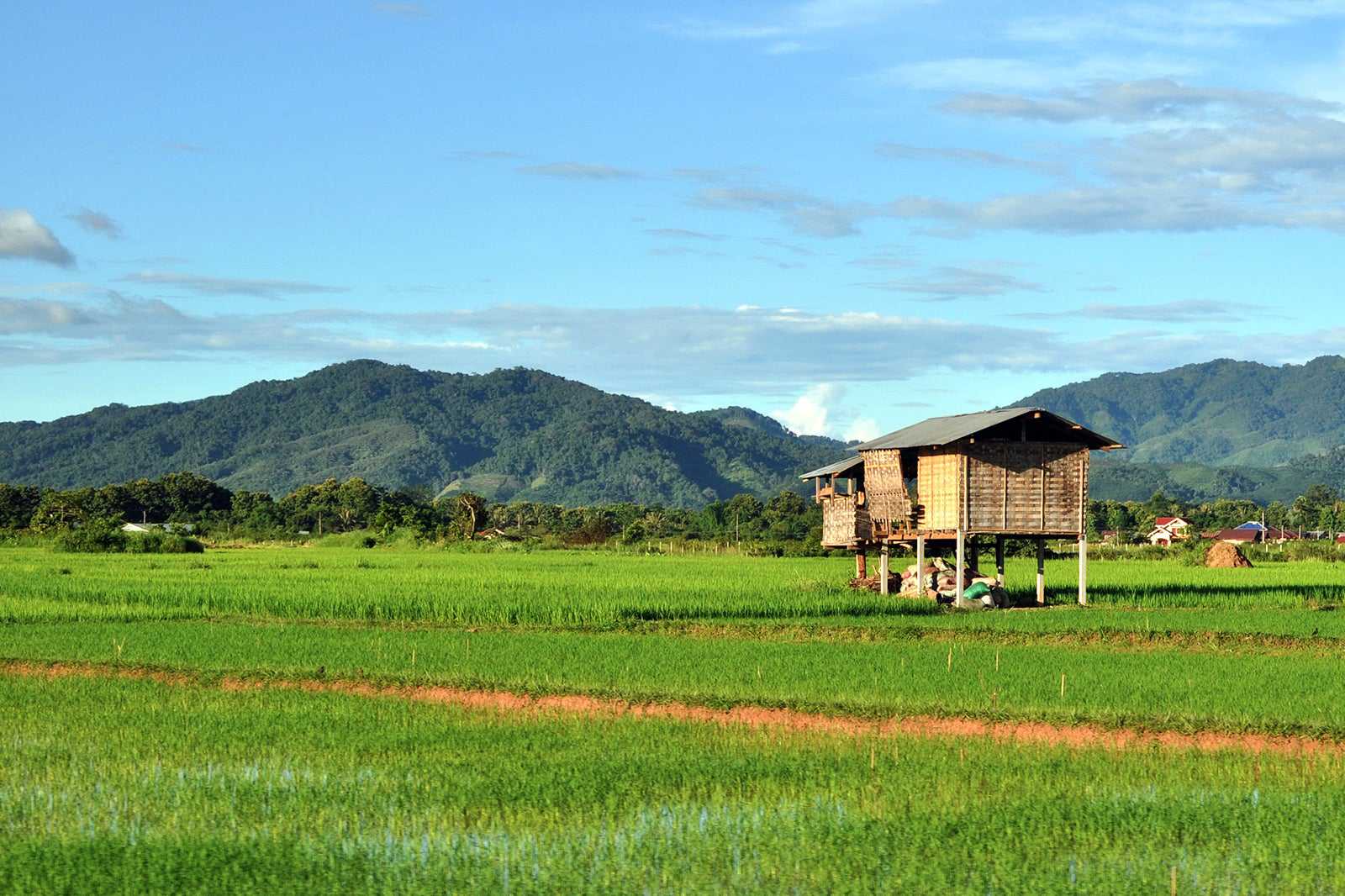 Mini Guide to Luang Namtha