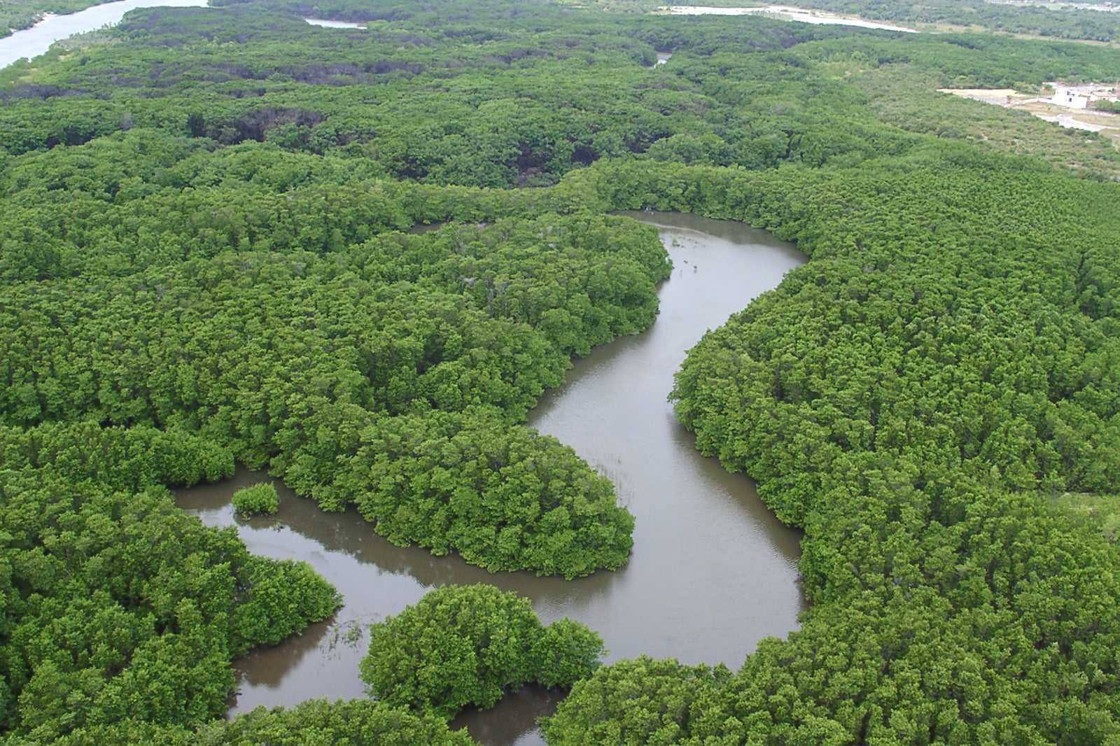 Reserva de Sapiranga